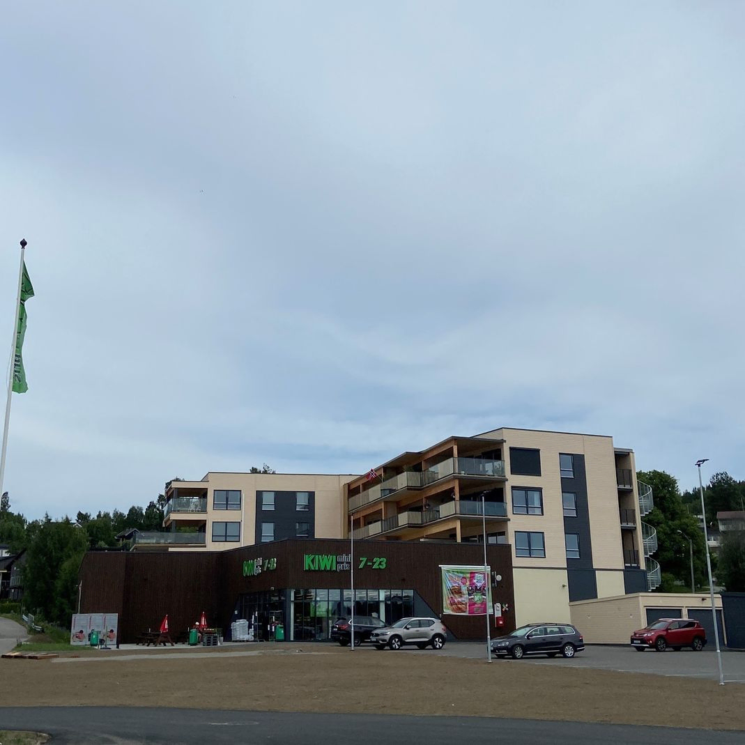 Minnesund Panorama 2